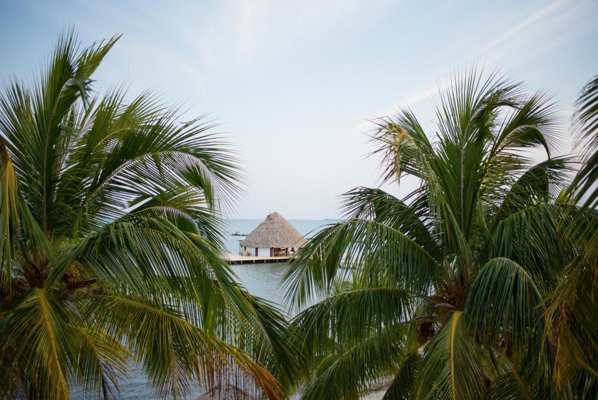 מאיה ביץ' The Placencia מראה חיצוני תמונה